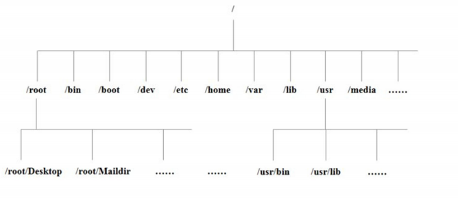 image-20220720224714444