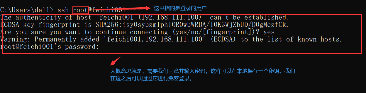 image-20220726005952166