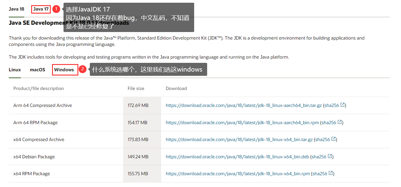 image-20220531165410431