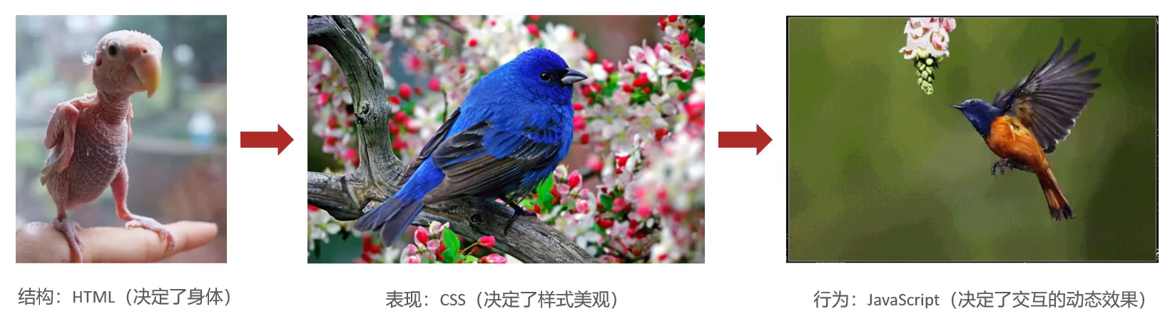 image-20230506171738440