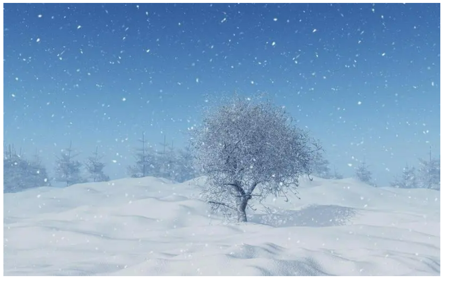 image-20230507145022872